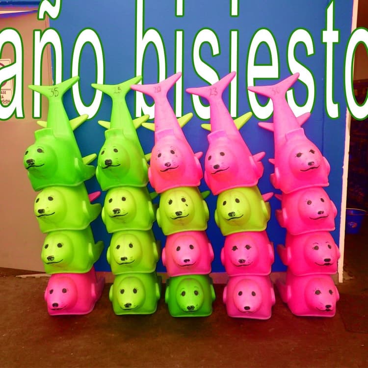 Imatge del programa ano bisiesto