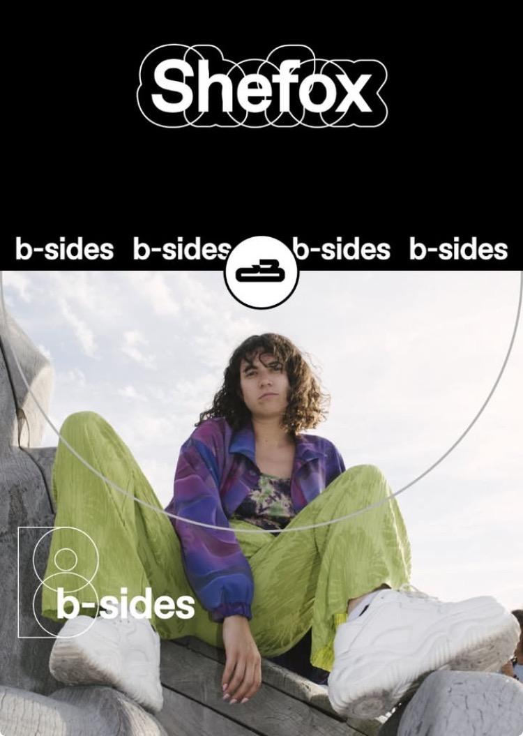 Imatge del programa Shefox