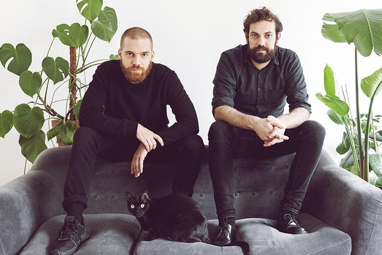 Imatge del programa hedonic reversal